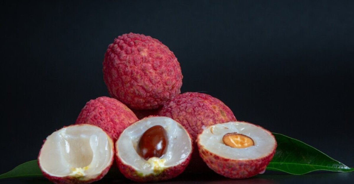 6 Manfaat Ajaib Biji Leci, Ternyata Salah Satunya untuk Kecantikan Kulit!