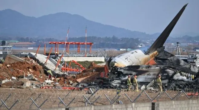 Mengenal Bird Strike Penyebab Jatuhnya Pesawat Jeju Air