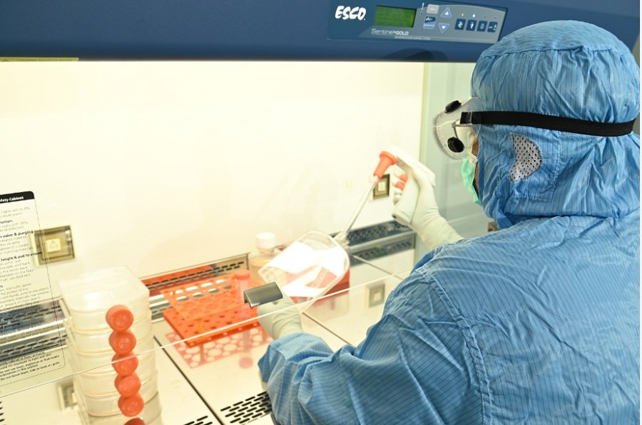 Mengenal Terapi Stem Cell untuk Pengapuran Sendi dan Penyakit Saraf