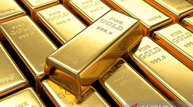 6 Perbedaan Emas Muda dan Emas Tua