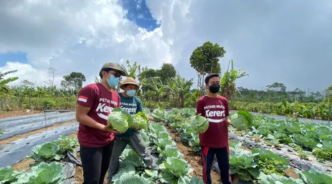 Cara Mendaftar Petani Milenial 2024 dan Syarat-syaratnya