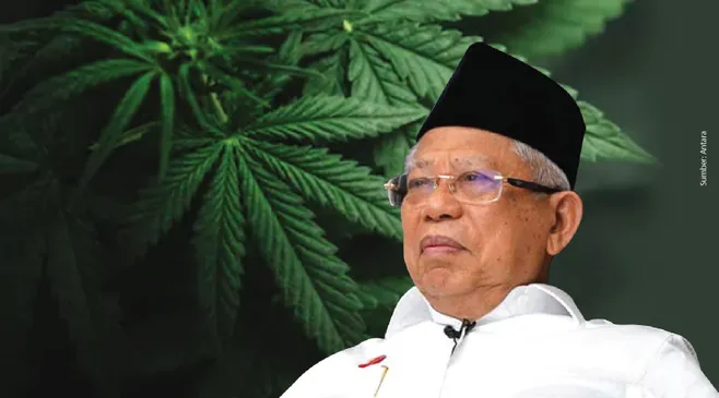 Gebrakan Plt Presiden Ma'ruf Amin: Minta MUI Keluarkan Fatwa Bolehkan Ganja untuk Medis