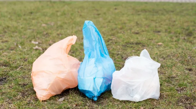 Sejarah dan Tema Peringatan Hari Tanpa Kantong Plastik Sedunia 3 Juli 2025