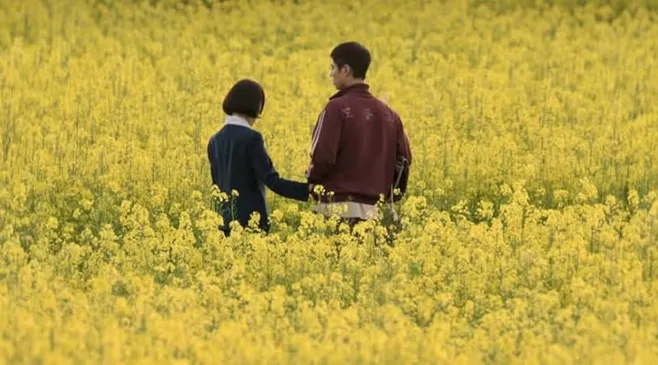 Menyusuri Lokasi Syuting Drama When Life Gives You Tangerines dengan Berbagai Keindahannya