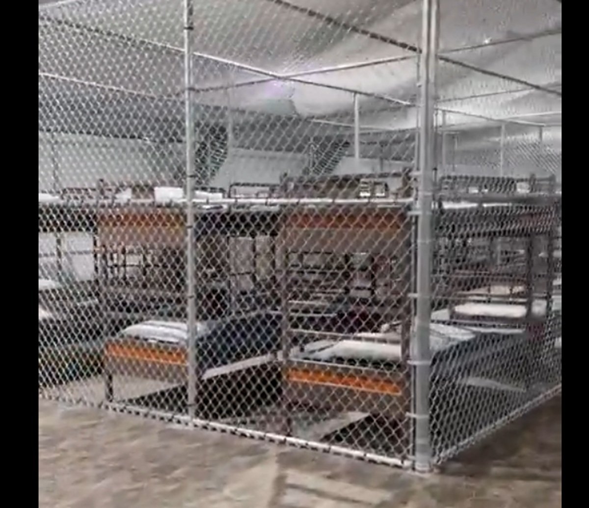 Alligator Alcatraz, Trump Bangun Penjara di Lokasi Penuh Buaya untuk Tahan Ribuan Imigran