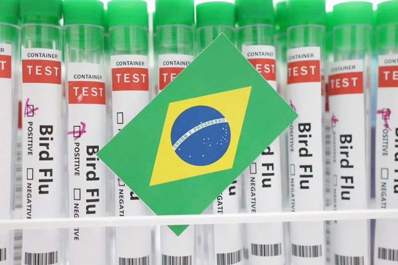 Factbox-Negara mana saja yang membatasi ayam dari Brasil karena flu burung?