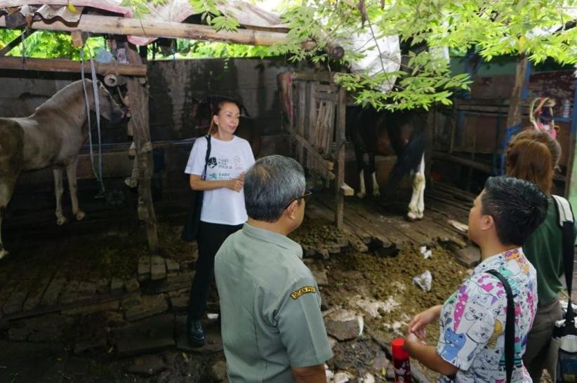Klinik Hewan Keliling Pertama untuk Kuda Delman di Jakarta